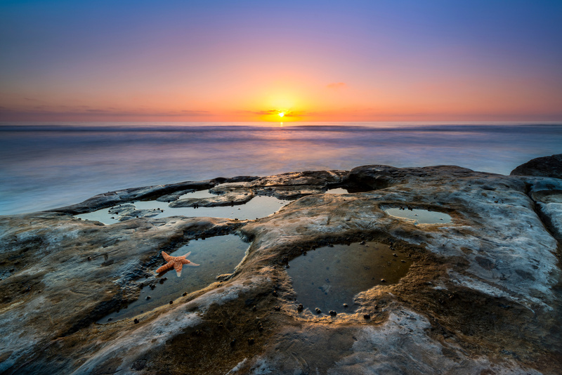 Tidepools with an orange starfish and blue water in the background with an orange setting sun.